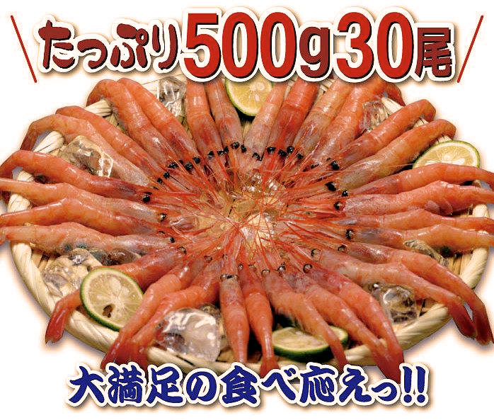 たっぷり500g約30尾！特大子持ち船凍甘えび
