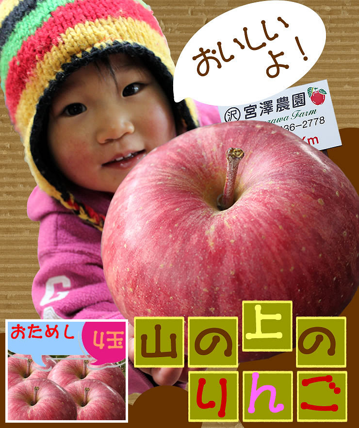 南信州まつかわ町産 山の上のりんご「サンふじ」4玉