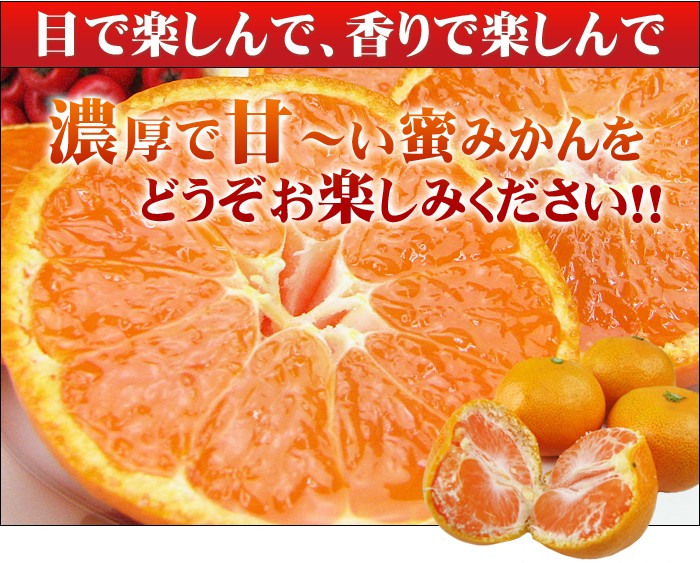 愛媛産 訳あり 『蜜まる温州みかん』 ドーンと10kg！