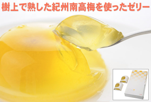 梅ゼリーの逸品！木熟梅ゼリー梅千家