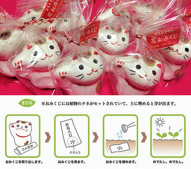 運気を育てる花おみくじ「おめでた招き猫 」