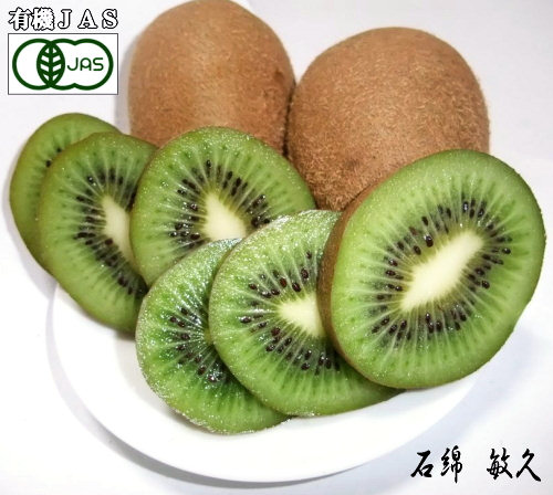 有機JASキウイフルーツ3kg