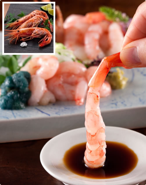 子持ち越前甘えび500g（約30尾）プレゼント！