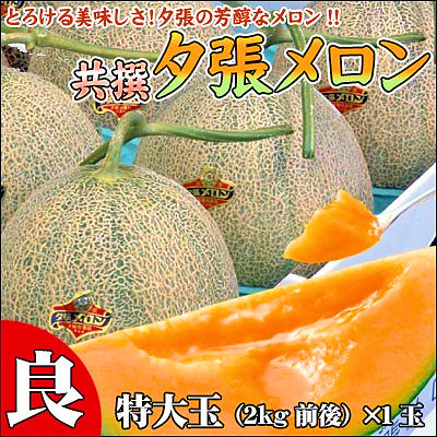 夕張メロン特大玉をプレゼント！