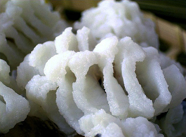 瀬戸内海産はも湯引き4～5人前をプレゼント！