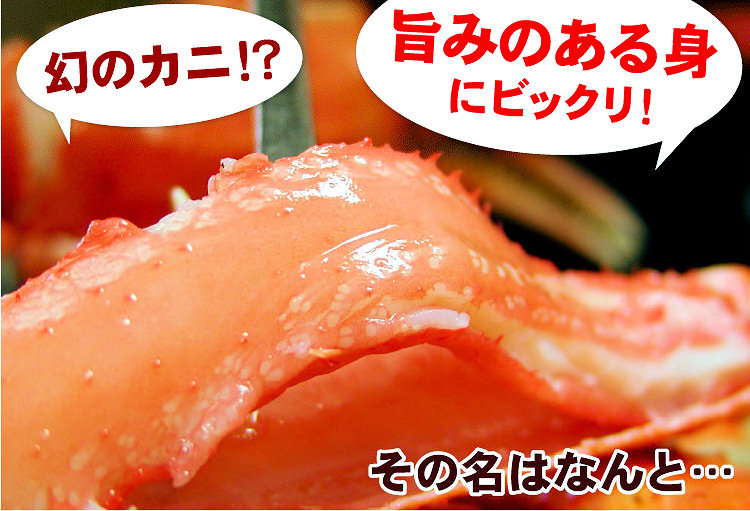トゲズワイガニ足1kgプレゼント！