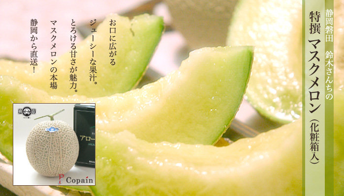 特撰！化粧箱入り静岡マスクメロンをペアでプレゼント！