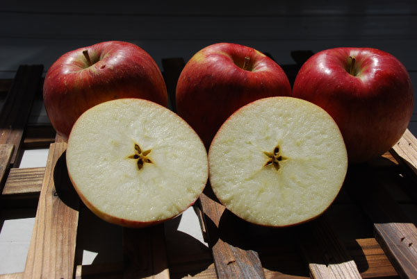 長野産りんご「シナノスイート」3kgをプレゼント