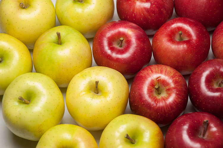 早生りんご赤・黄セット5kgをプレゼント！