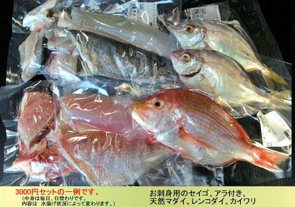 魚かつの下処理鮮魚セットをプレゼント！