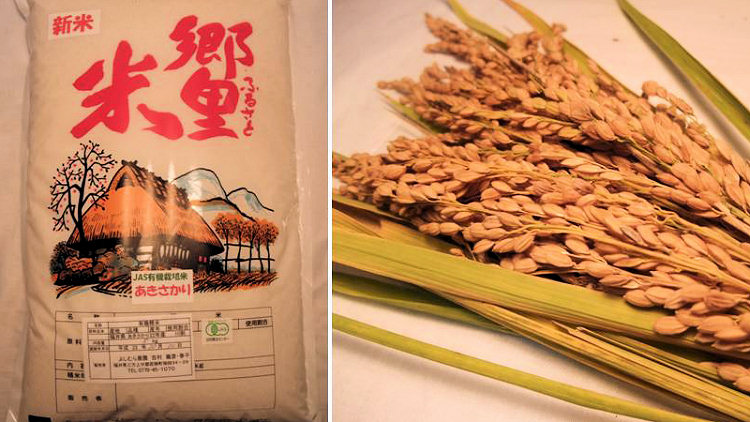 26年度産新米「あきさかり」白米5kgをプレゼント！
