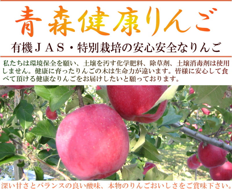青森健康りんご「ふじ」A品5kgをプレゼント！