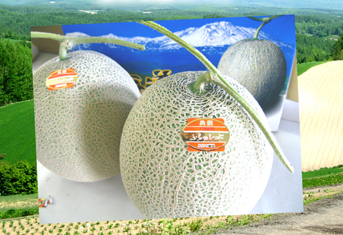 超ドデカ！北海道ふらのメロン2.7ｋｇ×2玉ずつペアでプレゼント！