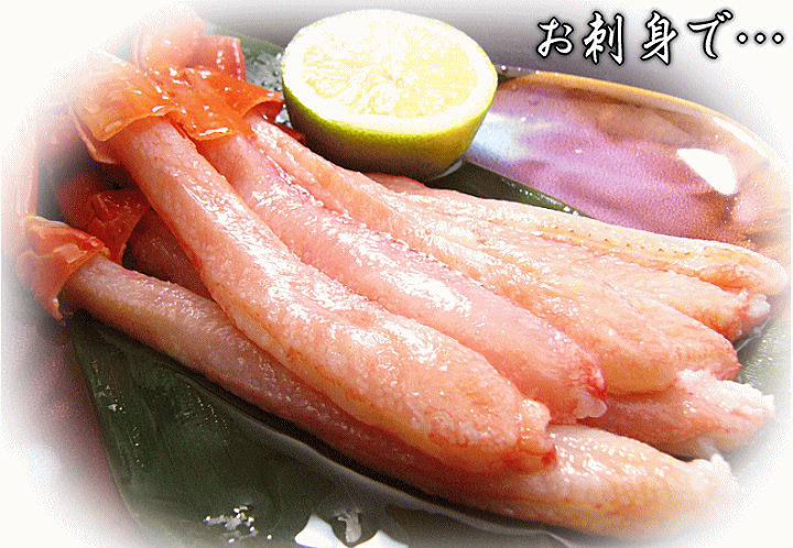 冷凍生紅ズワイガニ（刺身用）約500g（15～25本）ペアでプレゼント！