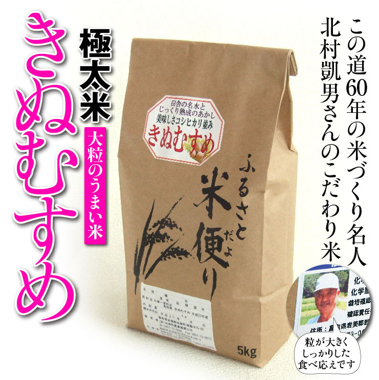 25年産新米【鳥取県産】極太米「きぬむすめ」10kg！ペアでプレゼント