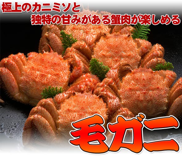 ボイル毛ガニ【大】500g前後×2尾づつペアでプレゼント！