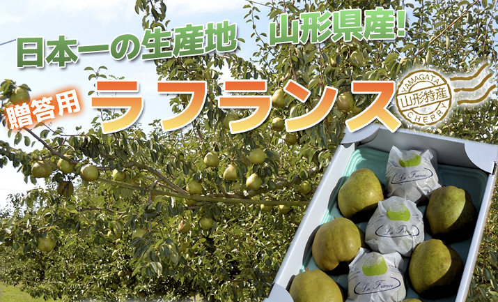 山形産ラフランス3kg！ペアでプレゼント