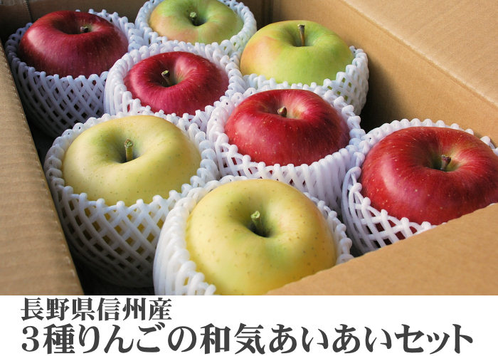 信州産３種りんごの和気あいあいセット3kg　ペアでプレゼント！
