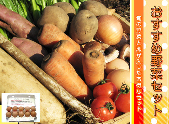 おすすめ野菜セット