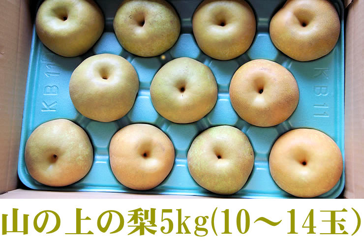 山の上の梨（南水梨)贈答用5kg(10～14玉）